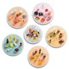 HSJH Miniature Ornaments 50pcs Resin Color for 1:12 Dollhouse-2
